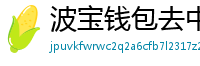 波宝钱包去中心化下载